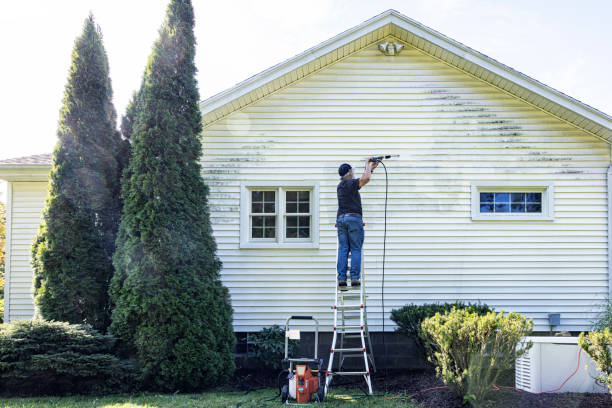 Best House Exterior Washing  in Pistakee Highlands, IL
