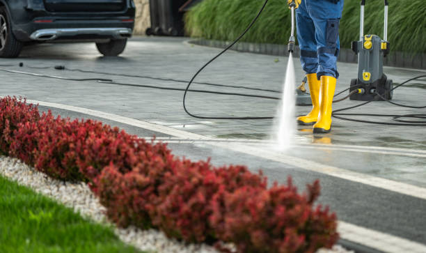 Best Fence Cleaning  in Pistakee Highlands, IL