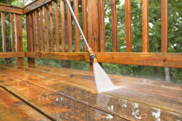 Professional Pressure Washing Services in Pistakee Highlands, IL